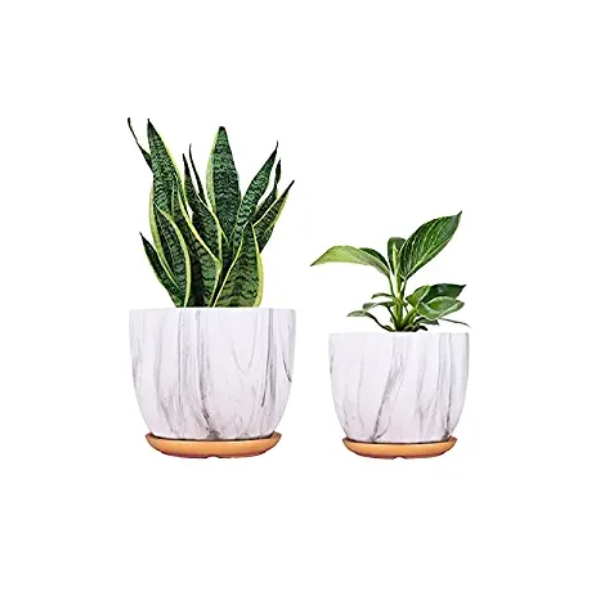 Terra - The gardening solutions+Ceramic Pots